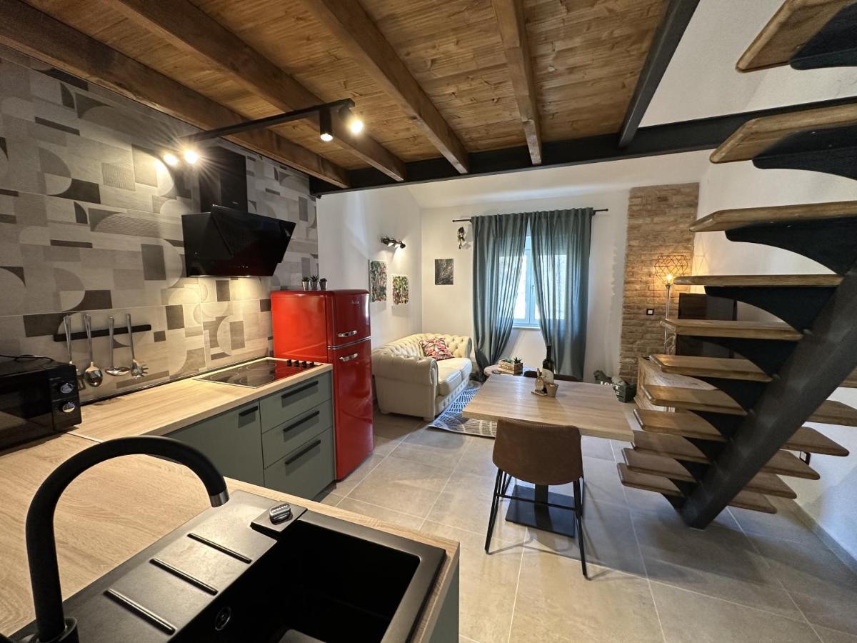 Apartment Urban *